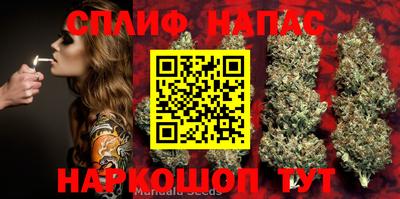 стаф Керчь