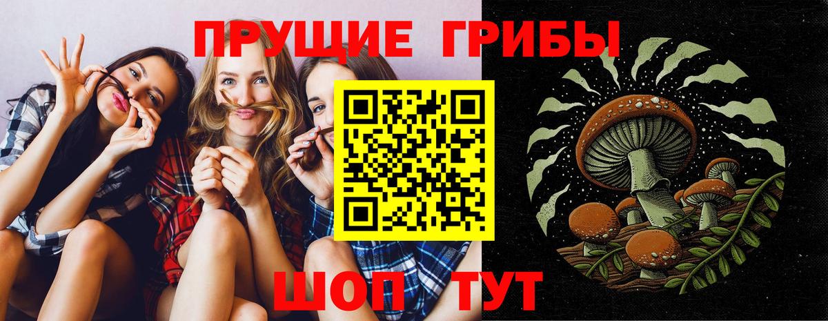 Галлюциногенные грибы мухоморы  закладка  Егорьевск  Вход с VPN 